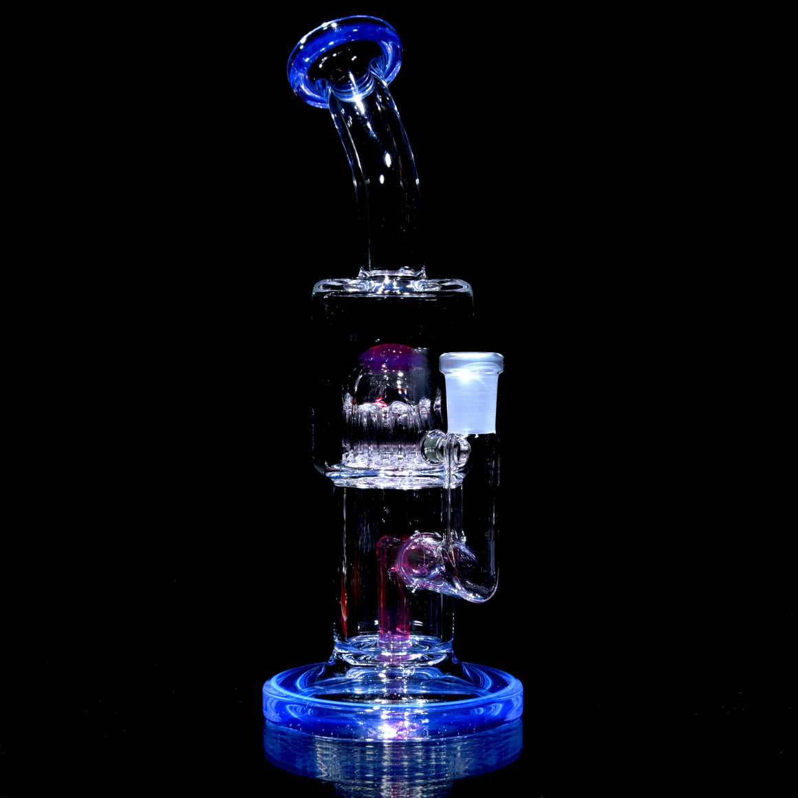 Double Color Cap Double Macro/7-Arm Tree Rig - Neptune/Royal Jelly - 10mm Female
