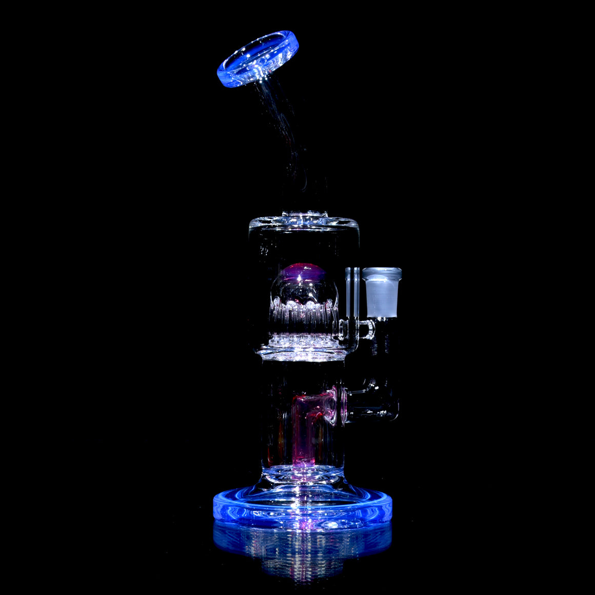 Double Color Cap Double Macro/7-Arm Tree Rig - Neptune/Royal Jelly - 10mm Female