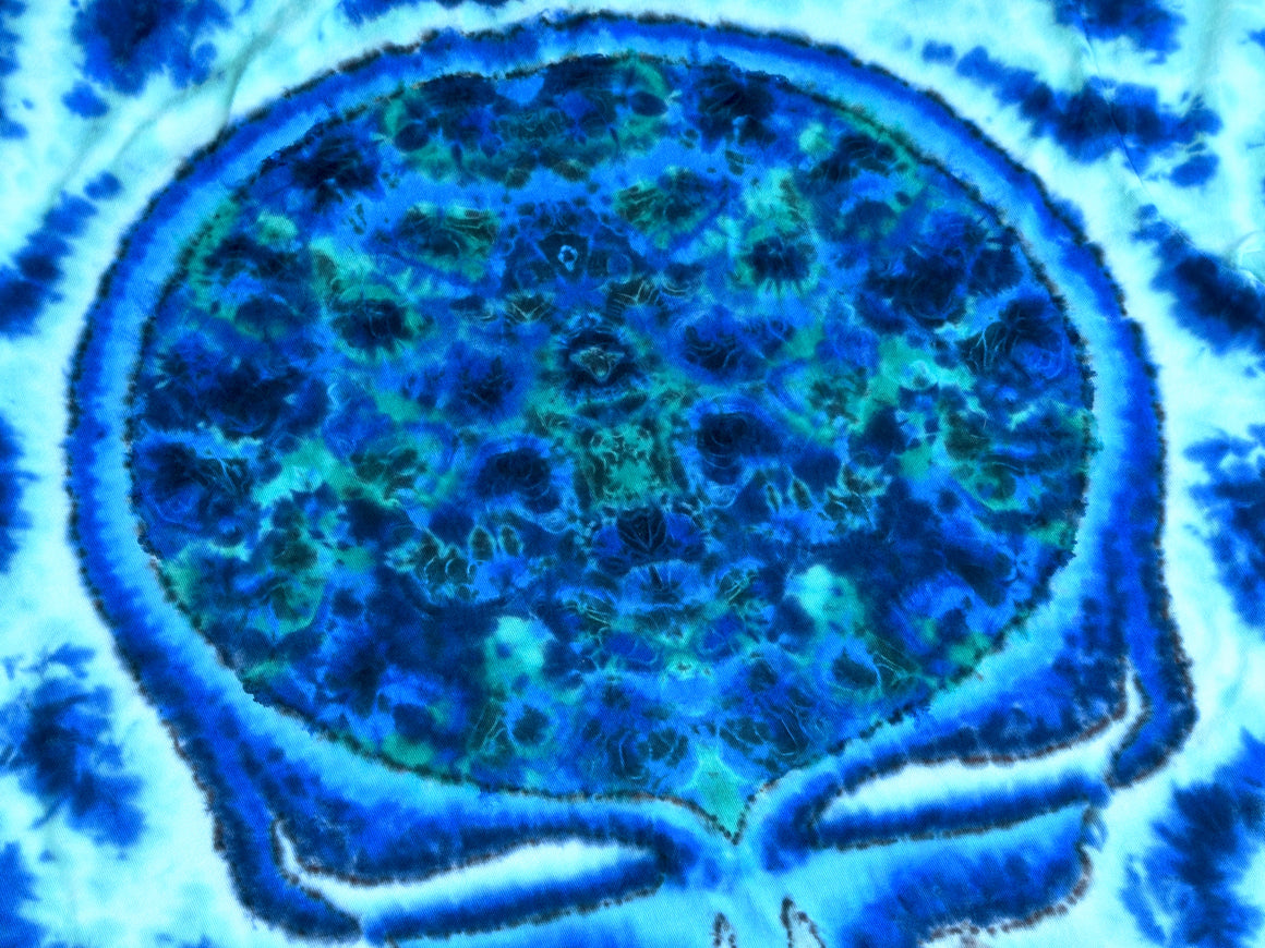 Medium Tie Dye T-Shirt - Aquatic Stealie Mandala Combo