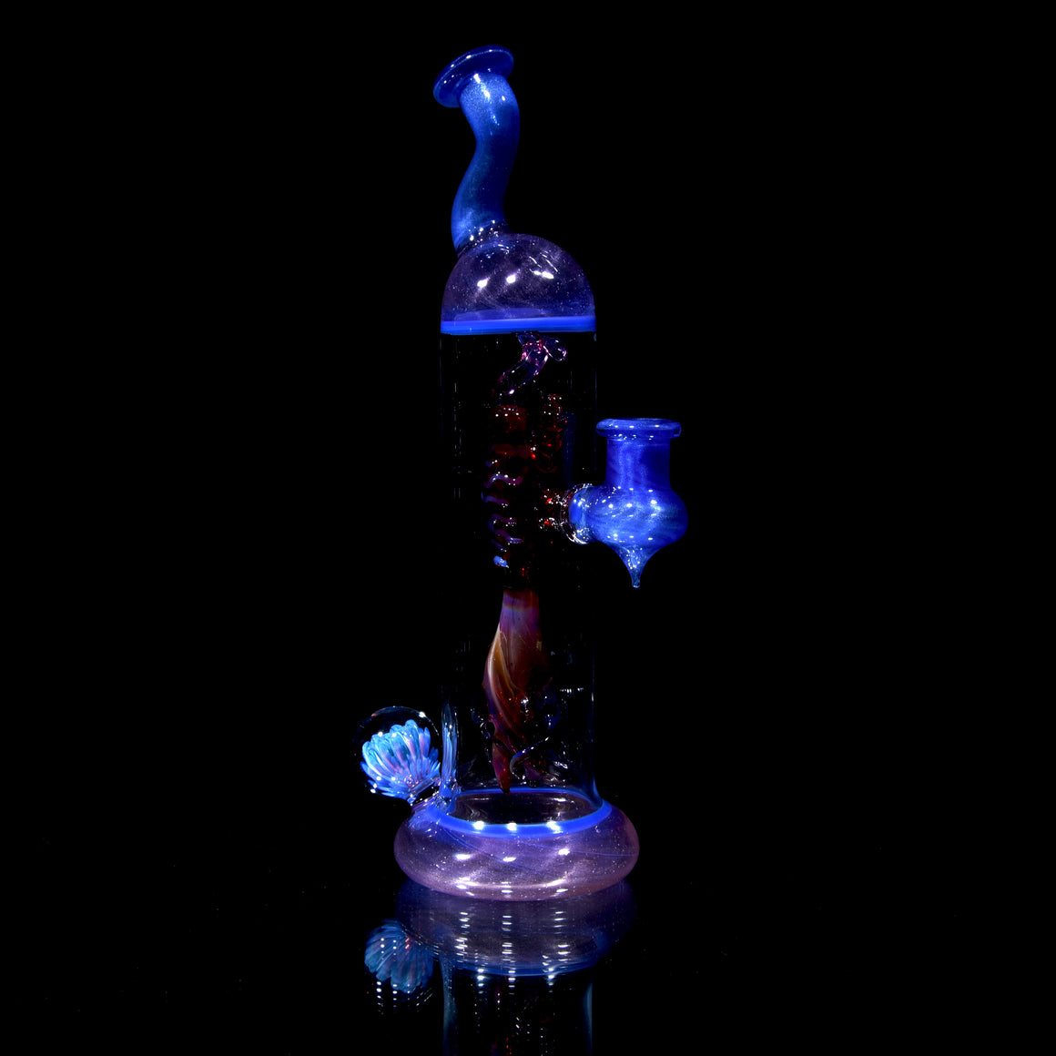 Worked Heartseed Specimen Rig - Satin Blue - 10mm Female