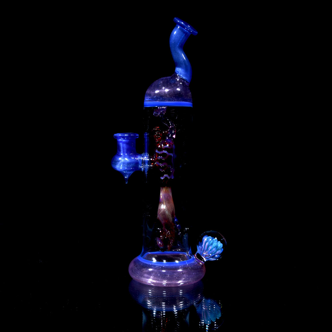 Worked Heartseed Specimen Rig - Satin Blue - 10mm Female